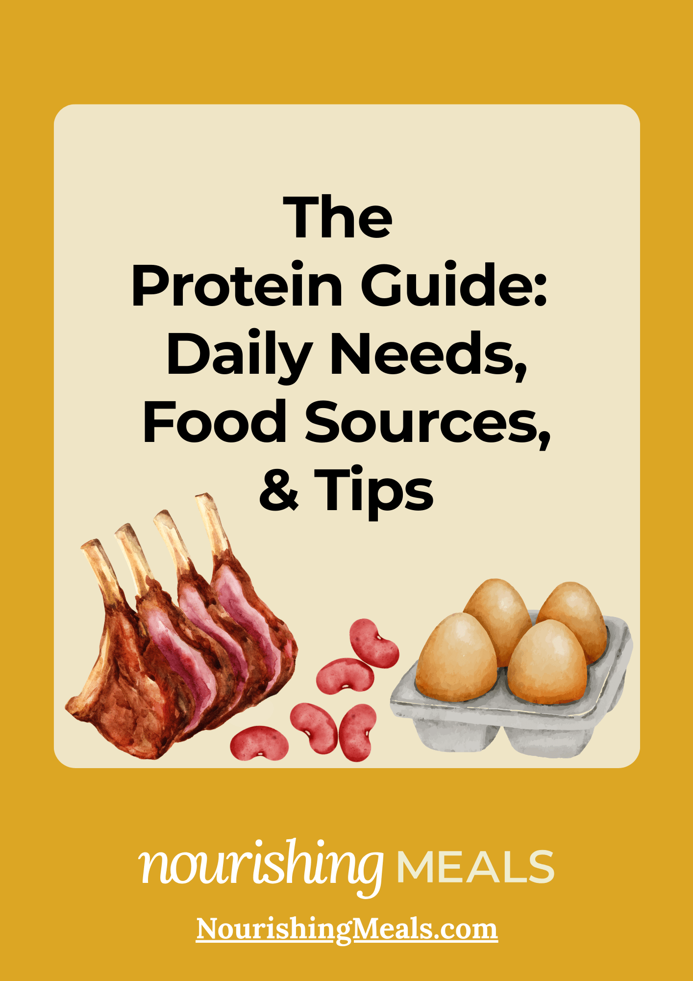 THE PROTEIN GUIDE